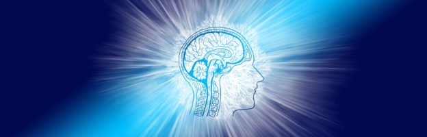 Le cocktail sexuel de ton cerveau