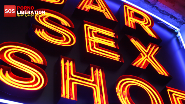 Quel business génère la vente de sex toys ? La réponse de Chat GPT !